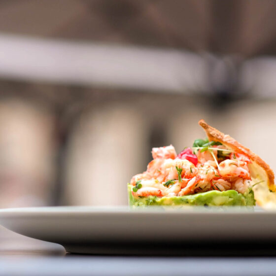 Avocadotatar mit Flusskrebsen