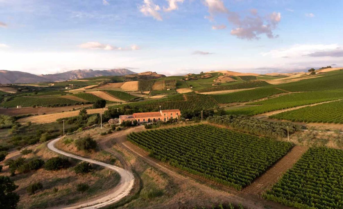 Weinberge und Hügellandschaft von Tasca d’Almerita auf Sizilien