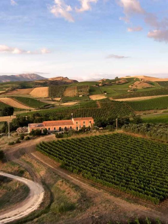 Amoroso trifft Tasca d’Almerita